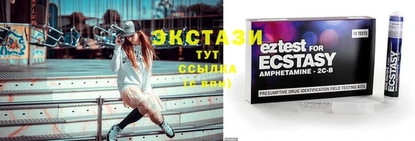 твердый Новозыбков