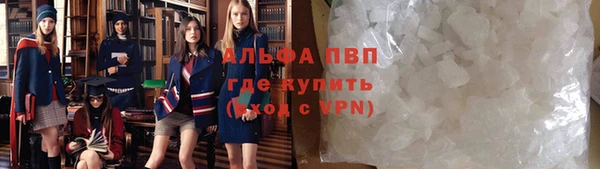 твердый Новозыбков