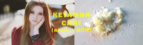твердый Новозыбков