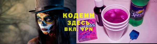 твердый Новозыбков