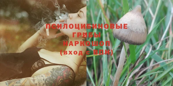 гидропоника Бутурлиновка