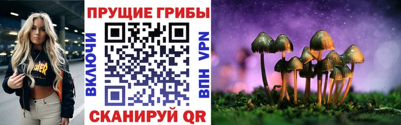 купить цена Павлово Галлюциногенные грибы MAGIC MUSHROOMS