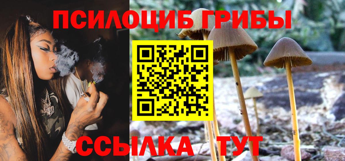 Псилоцибиновые грибы Cubensis  Вход с VPN  Павлово 
